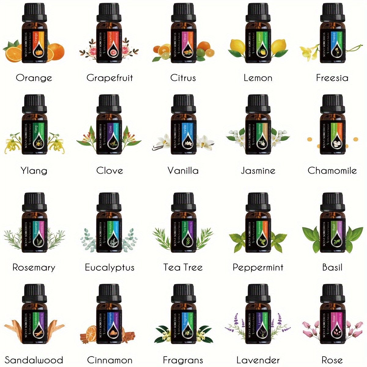 20개/세트 에센셜 오일 세트 라벤더 유칼립투스 스위트 - Aromatherapy Diffuser 리뷰 및 가격